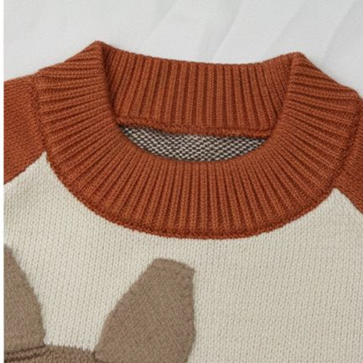 White and Orange Zebra Sweater