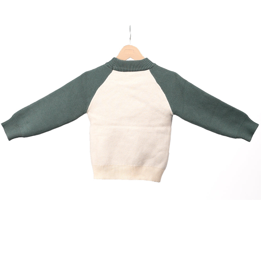 White and Green Zebra Sweater