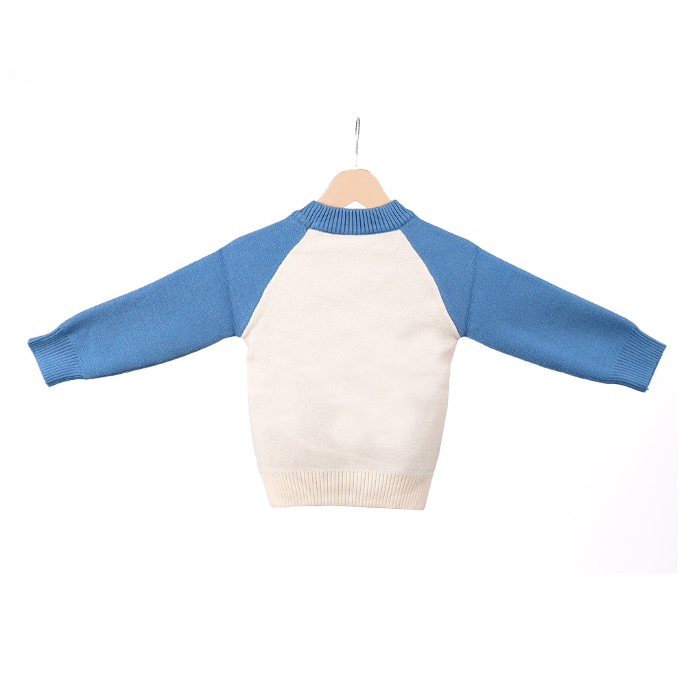 White and Blue Zebra Sweater