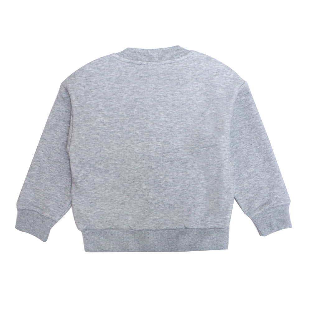 Grey sweatshirt