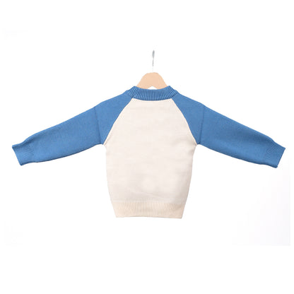 White and Blue Zebra Sweater