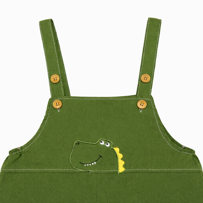 Dino Adventure Dungaree Set