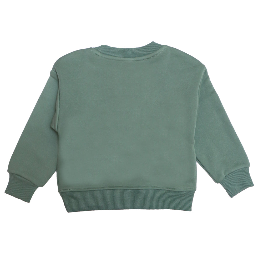 Green sweatshirt